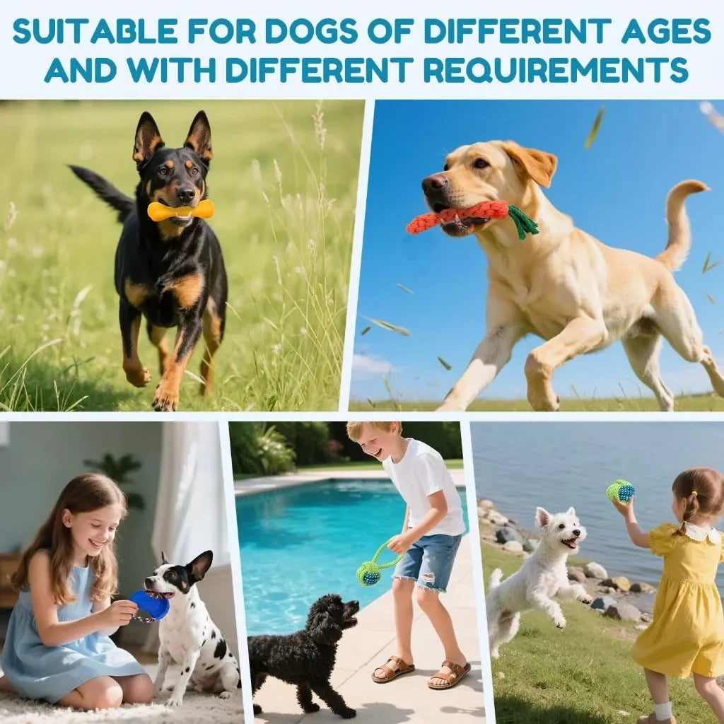 10/6 Kit Teeth Bite Puppy Anti-stress Pet Ranger Teeth Cleaning Mouth
