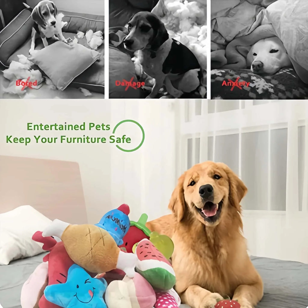 10/6 Kit Teeth Bite Puppy Anti-stress Pet Ranger Teeth Cleaning Mouth